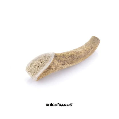 Bois de cerf entier pour chien