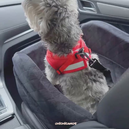 Siege voiture Chichicanos