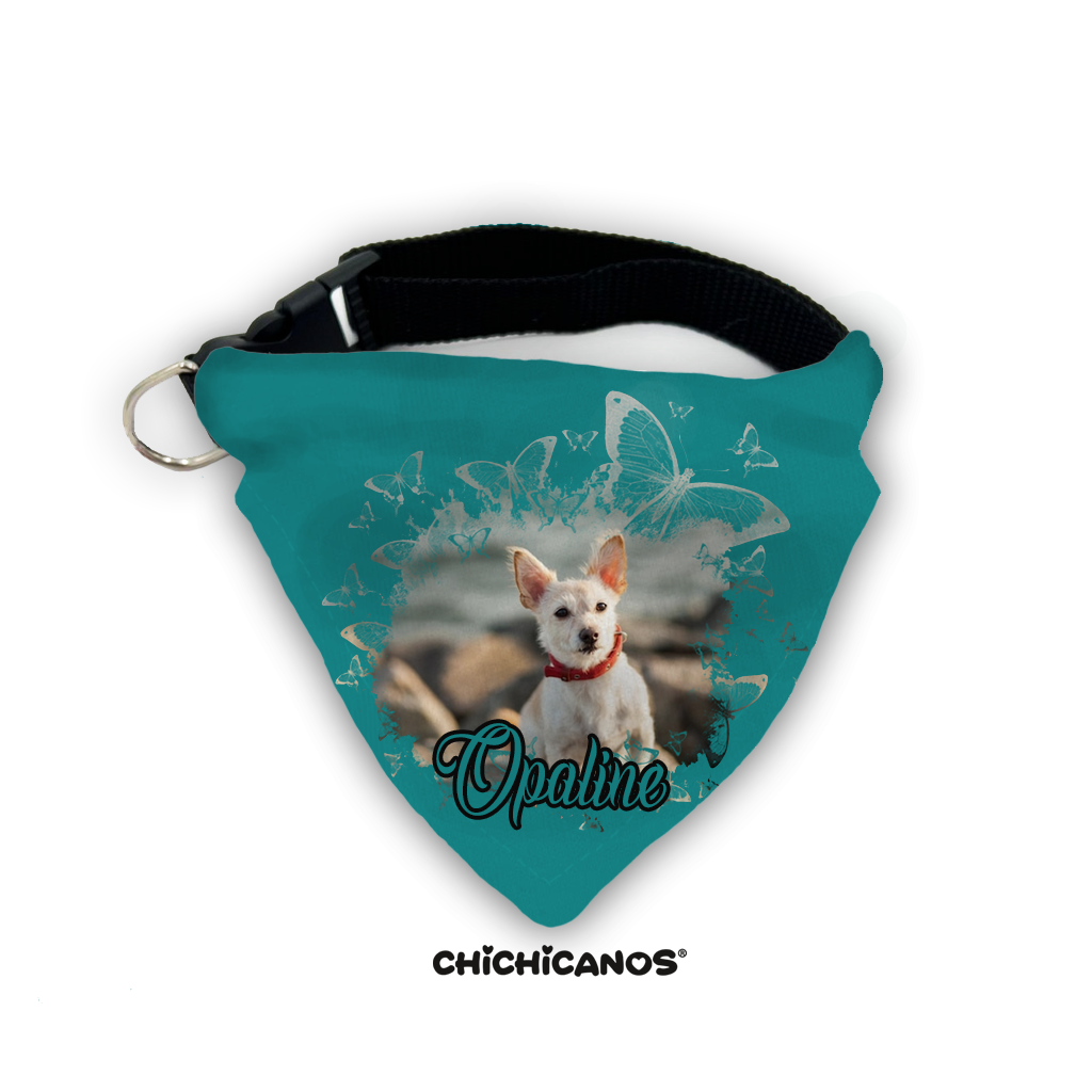 bandana avec photo personnalisé chien vert chihuahua