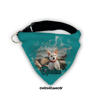 bandana avec photo personnalisé chien vert chihuahua
