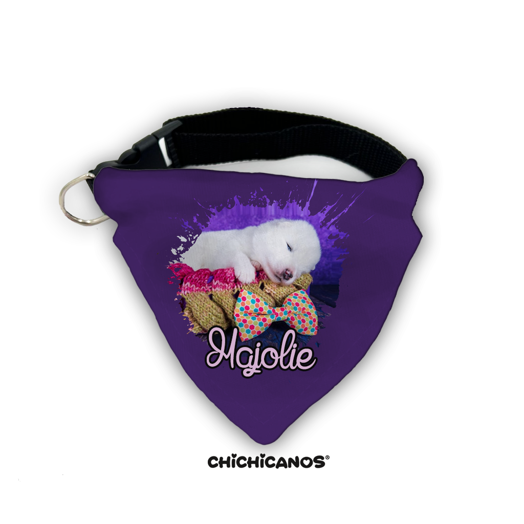 bandana avec photo personnalisé chien violet