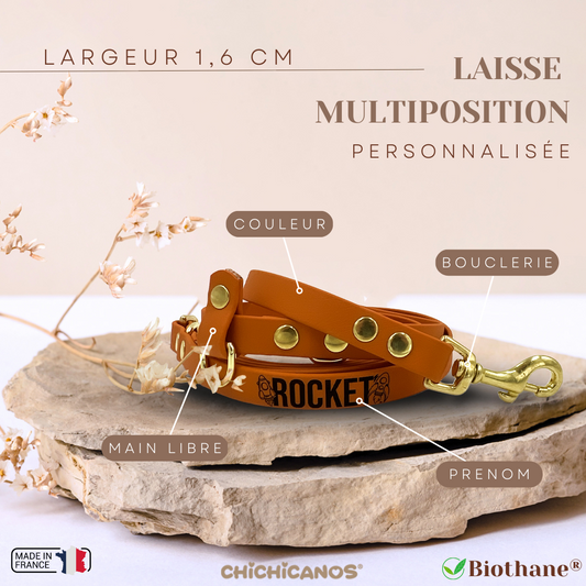 Laisse multiposition pour chien 