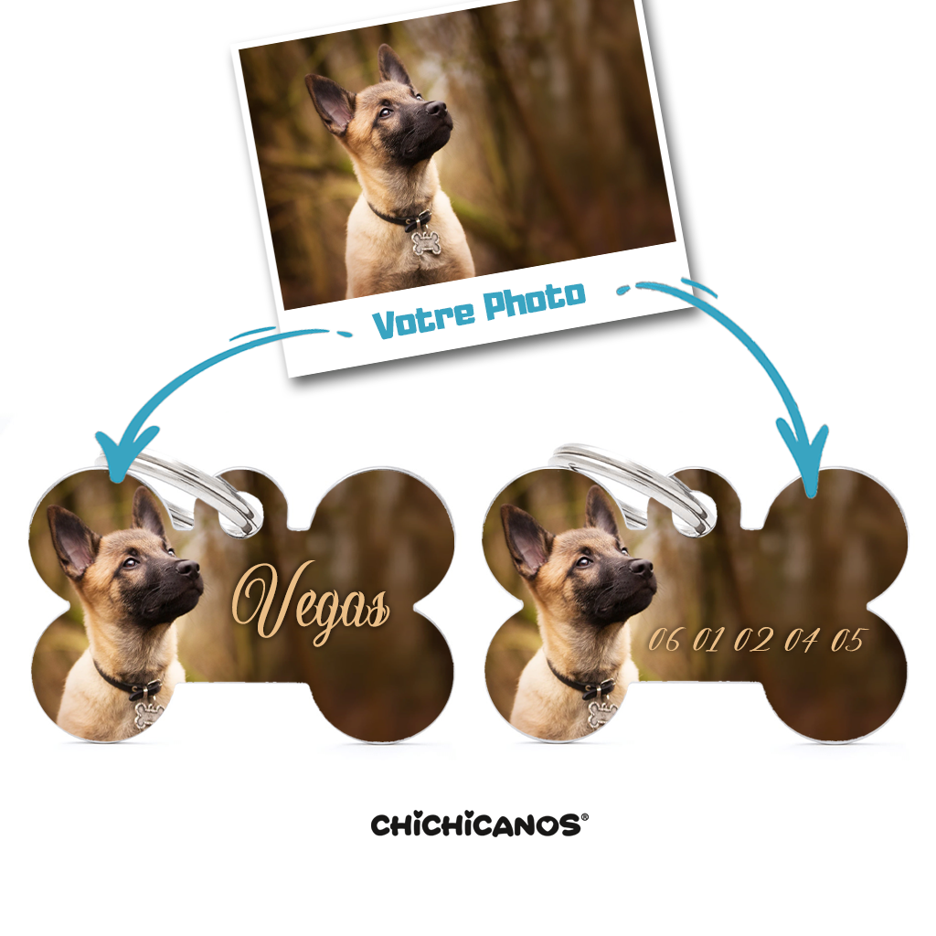 medaille pour chien malinois