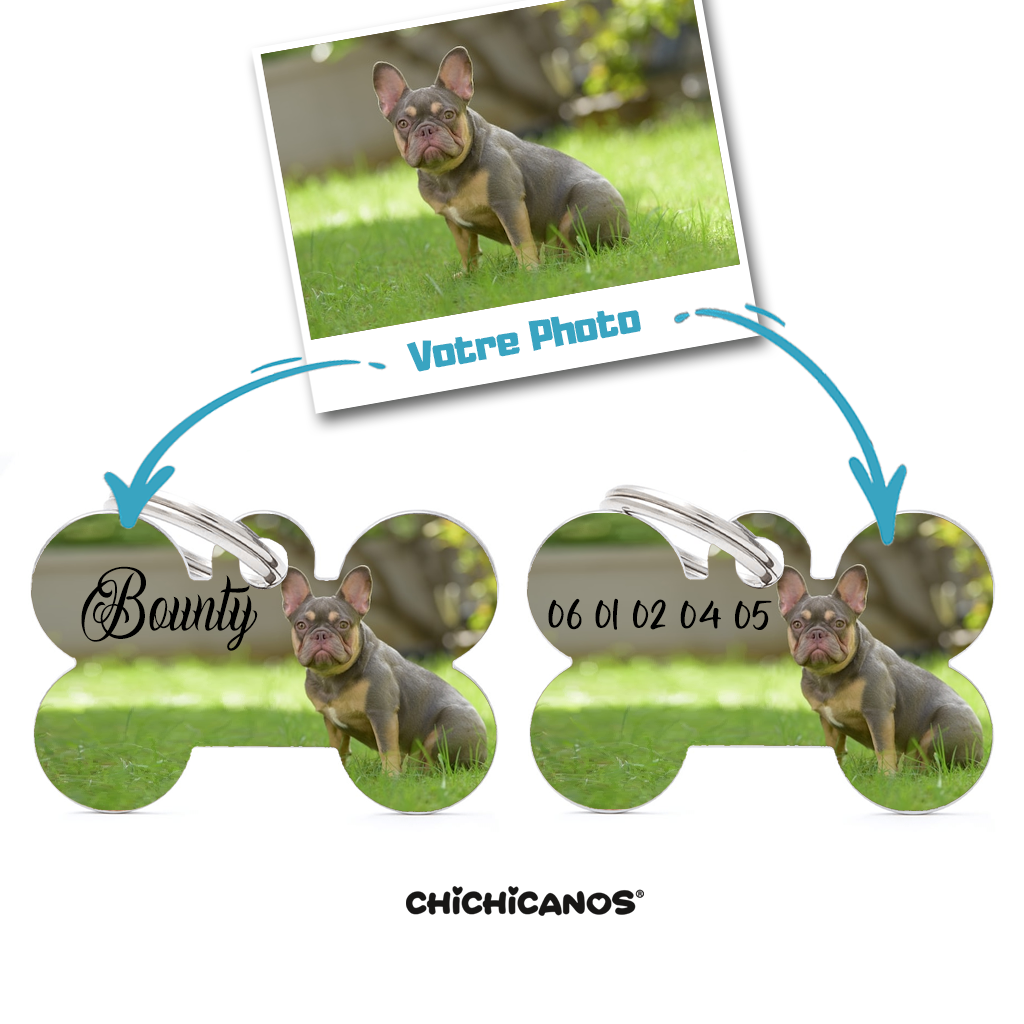 médaille pour chien bouledogue français